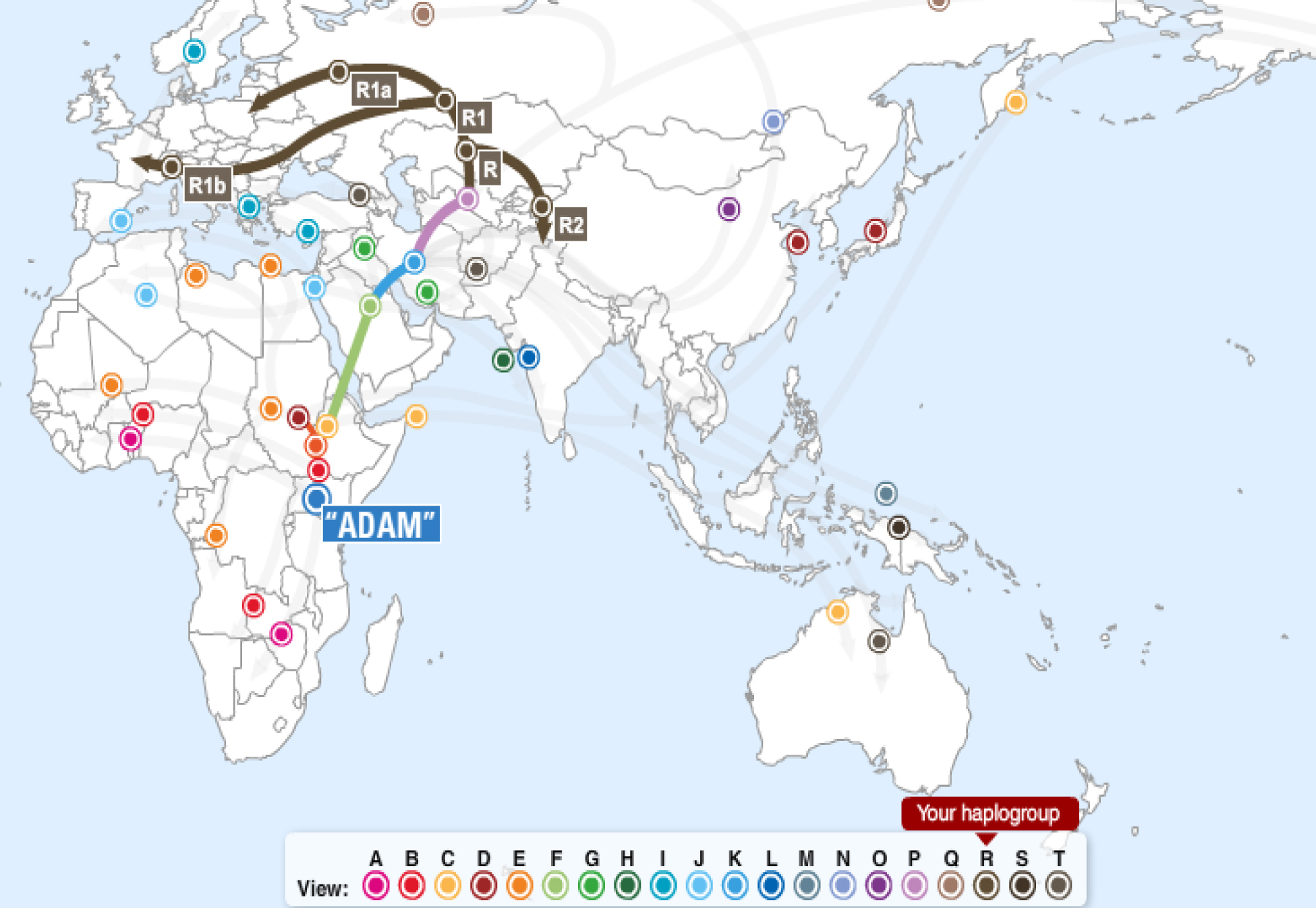 haplogroup-r-migration-map.jpg